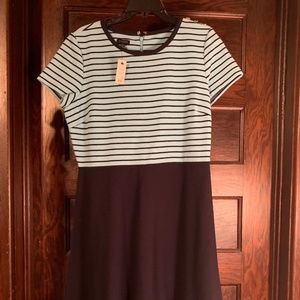 Talbots Knit Dress